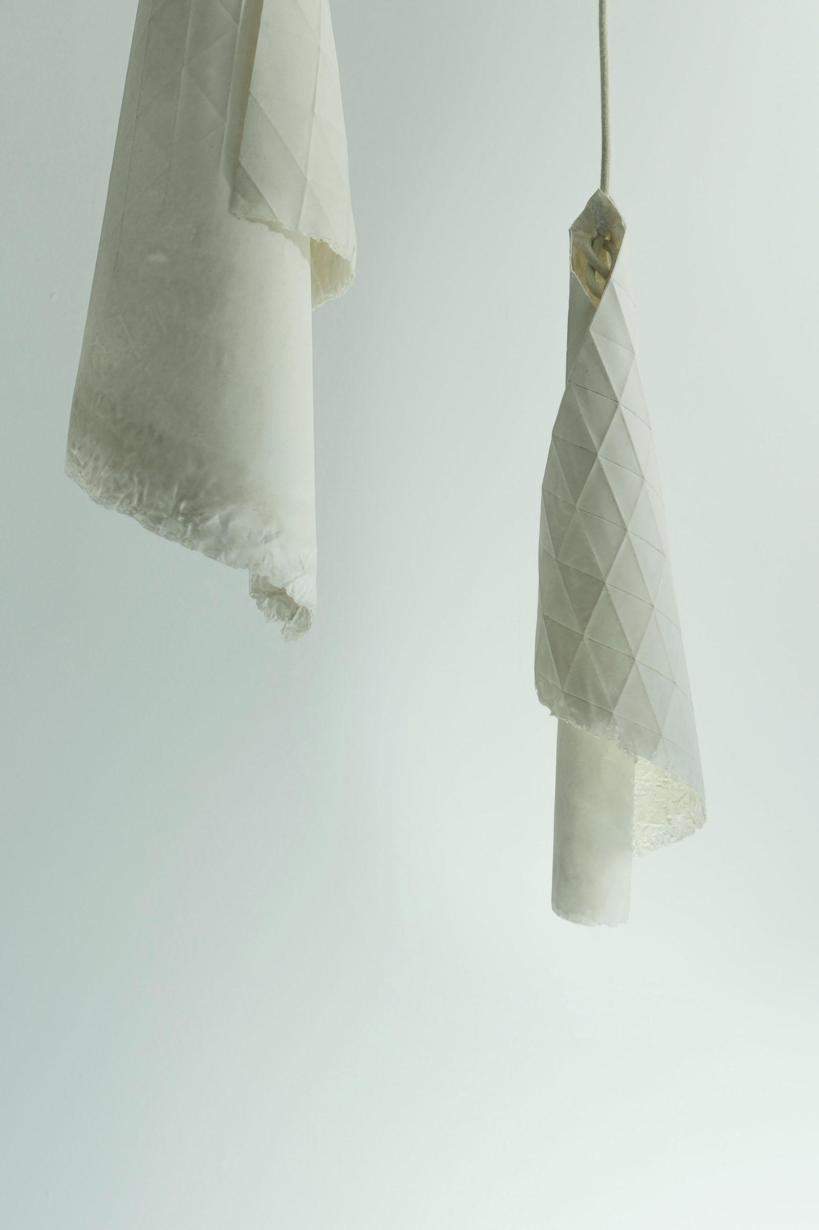 modèle Albatros - éteint